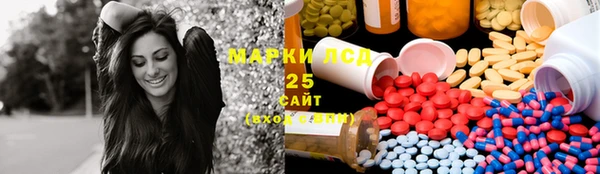 индика Осинники