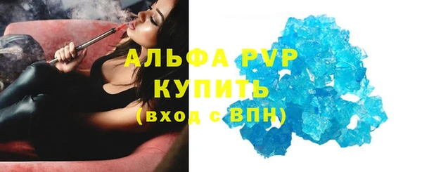 индика Осинники