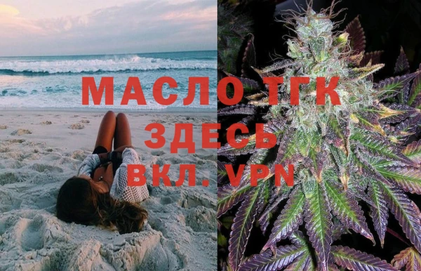 индика Осинники