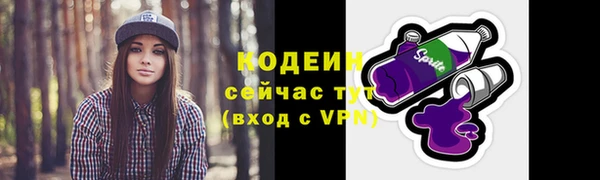 индика Осинники