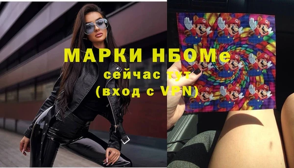 индика Осинники